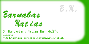 barnabas matias business card